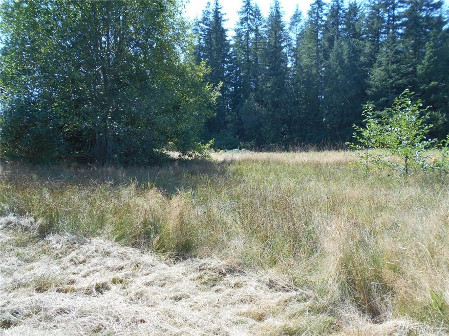 6019 310th St NW, Stanwood, WA 98292 - photo 1