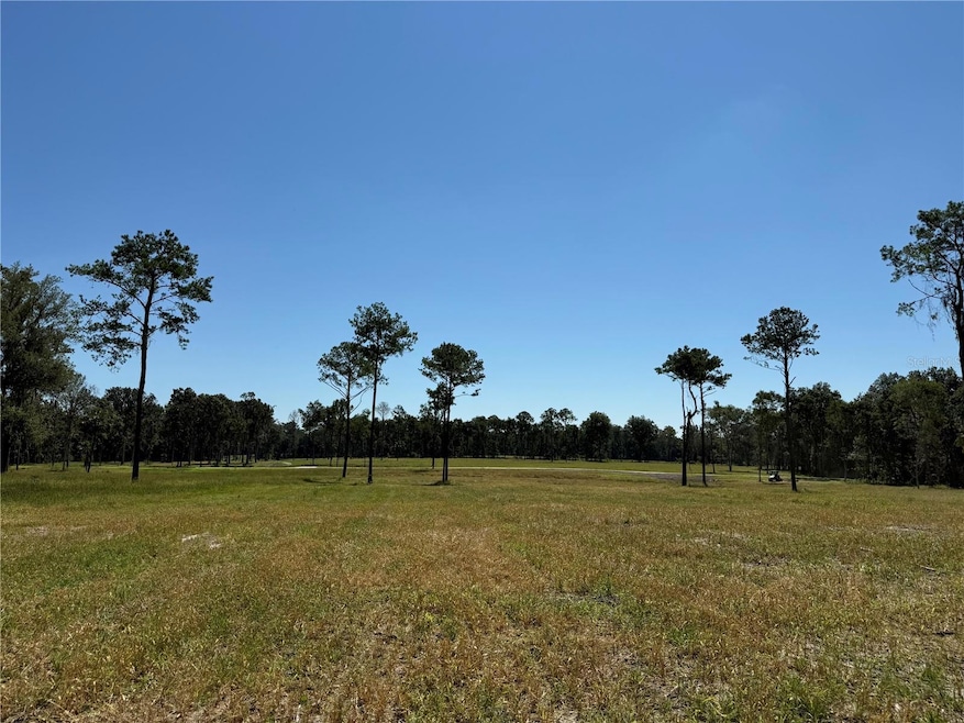 DR #8 (10ac) NW 193rd St, Micanopy, FL 32667 - photo 1