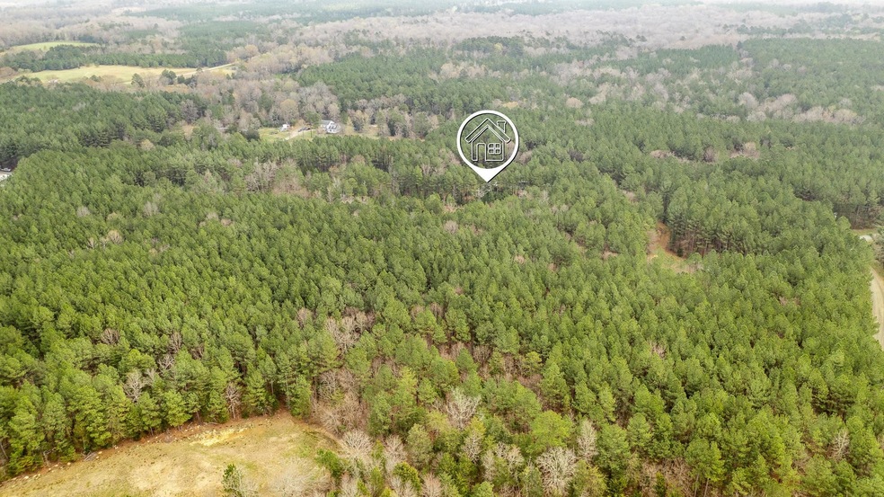 1724 Lutterloh Rd, Pittsboro, NC 27312 - photo 1