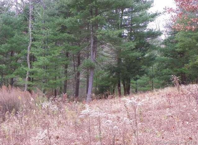 0 Danbury Quarter Rd unit 170059104, Winsted, CT 06098 - photo 1