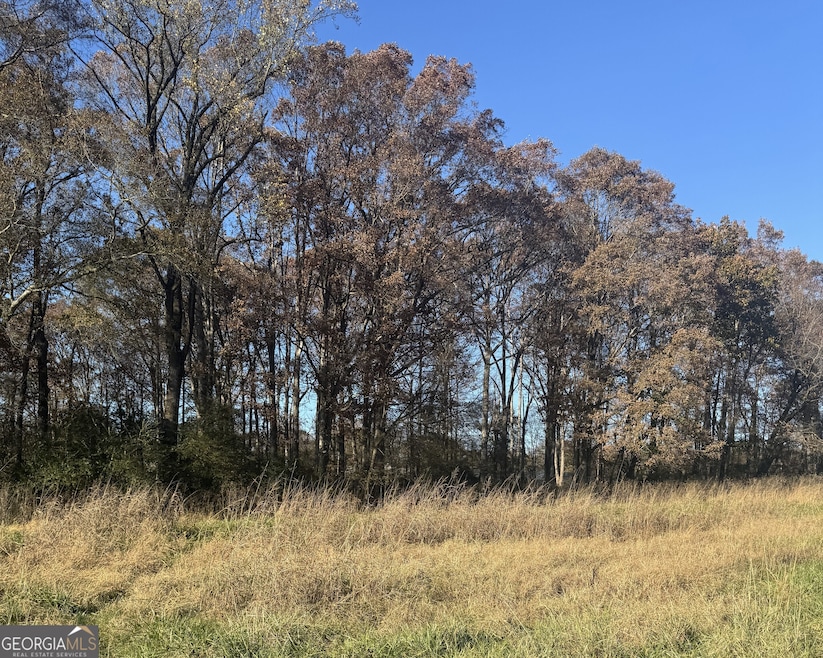 2661 Oakley Trail, Statham, GA 30666 - photo 1