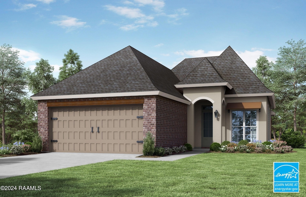 Front Rendering