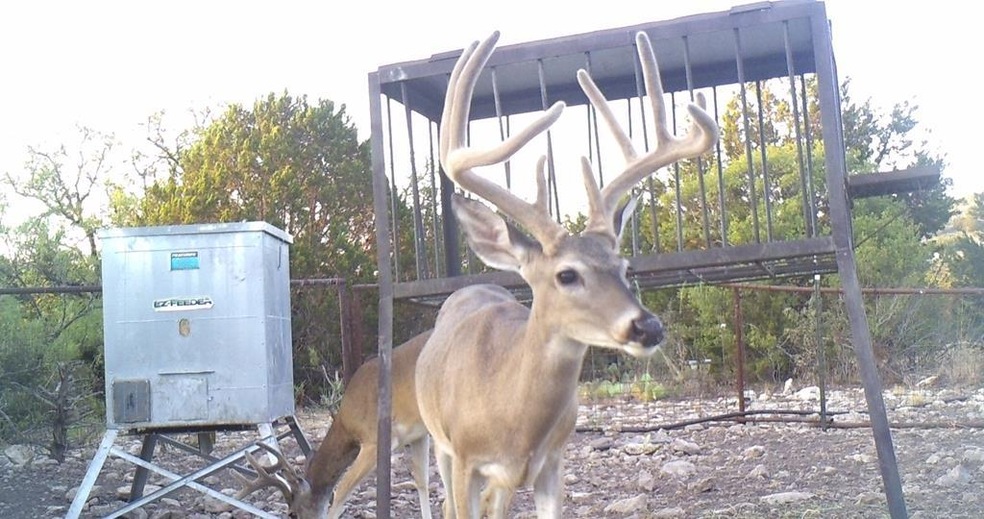 9125 County Road 450, Rocksprings, TX 78880 - photo 1