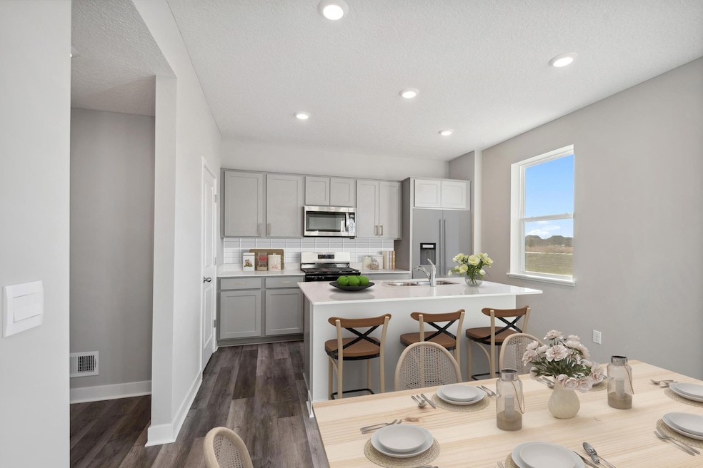 155 Snowdrop Trail, Waconia, MN 55387 - photo 1