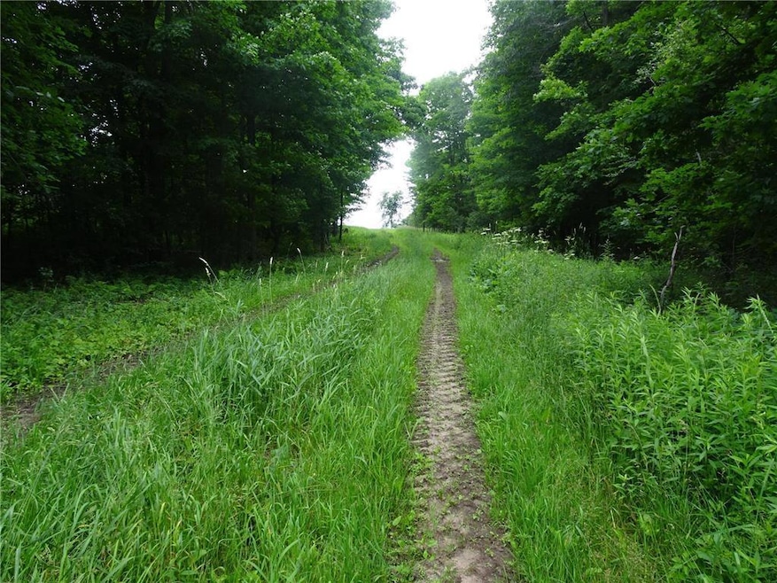 XXX 260th Avenue Ave, Luck, WI 54853 - photo 1