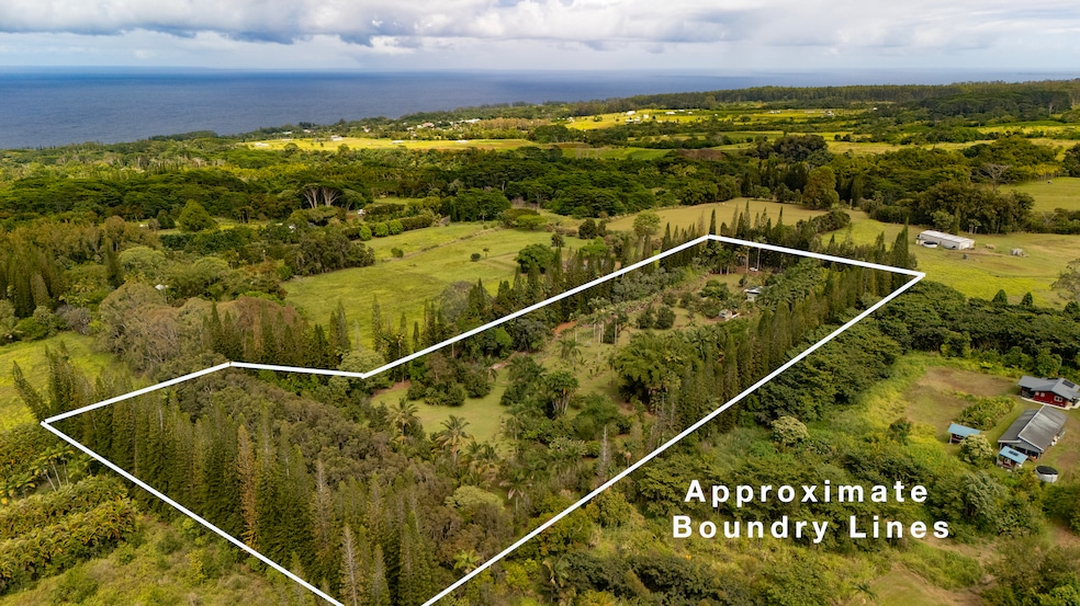 For Sale $995,000 • Co-Listing Agent