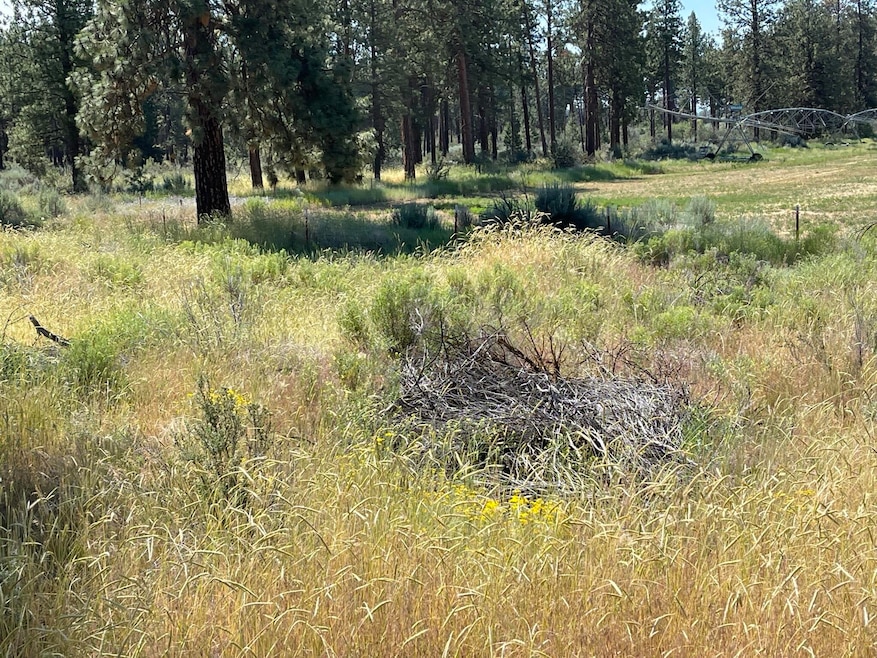 .39 Acres ~ S. Chiloquin Road
