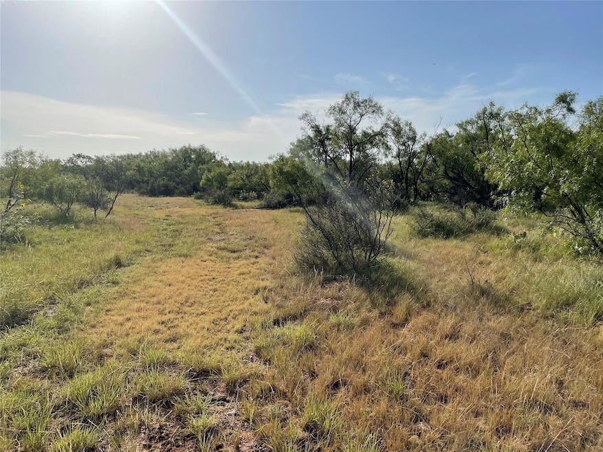 Tract 3 (32 Ac) Fm 600, Abilene, Tx 79601 