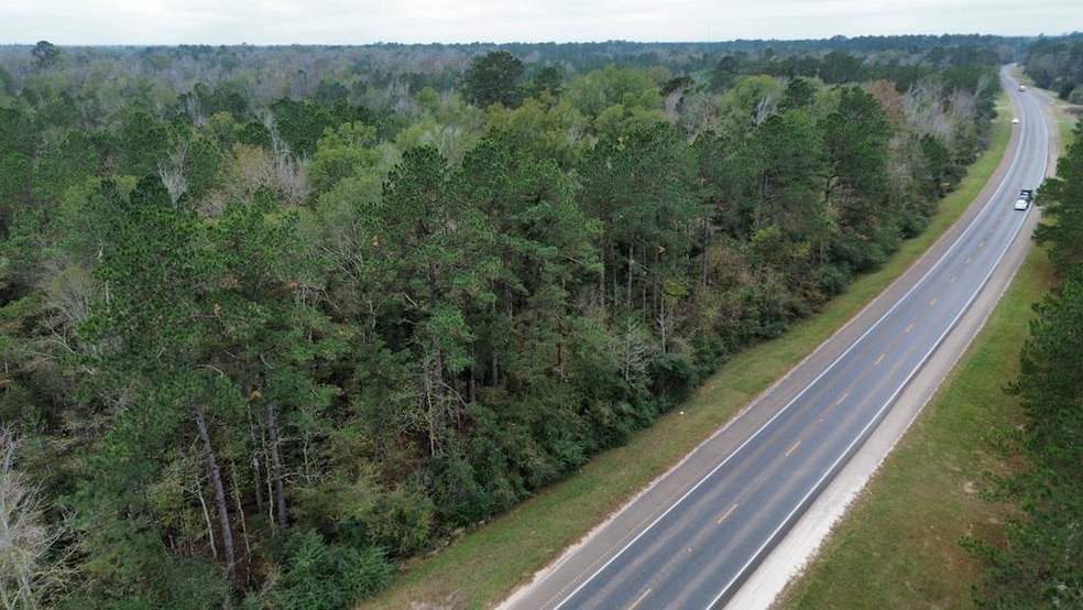 11948 Highway 190, Bon Wier, TX 75928 - photo 1