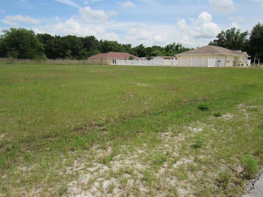 16325 SW 17th Terrace Rd, Ocala, FL 34473 - photo 1