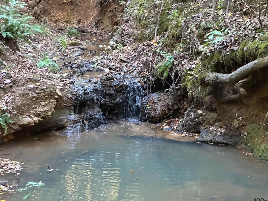 TBD County Road 1707, Jacksonville, TX 75766 - photo 1