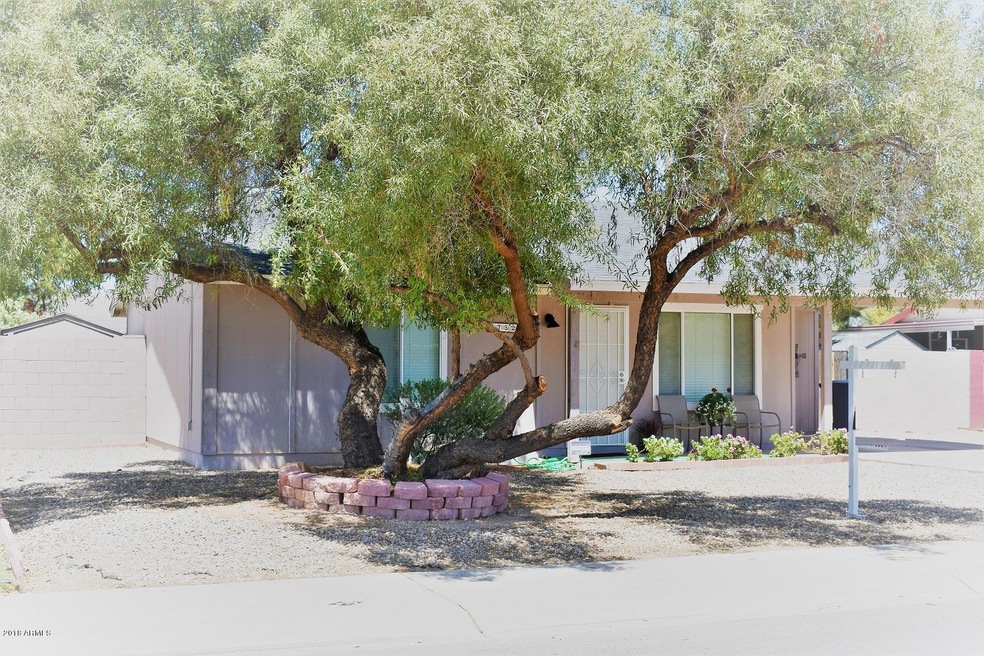 Nice shade tree in front yard