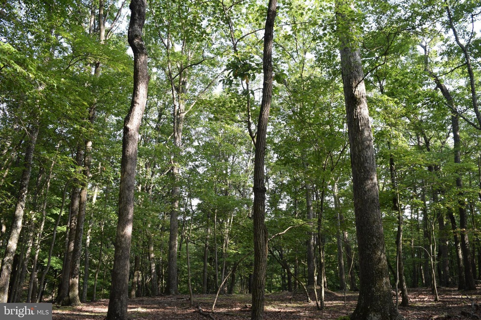 0 Pioneer Trail unit WVMO2003510, Great Cacapon, WV 25422 - photo 1
