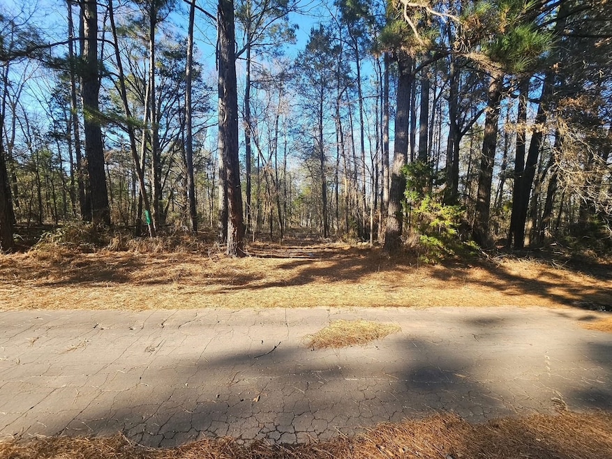 152 County Road 4247, Pittsburg, TX 75686 - photo 1