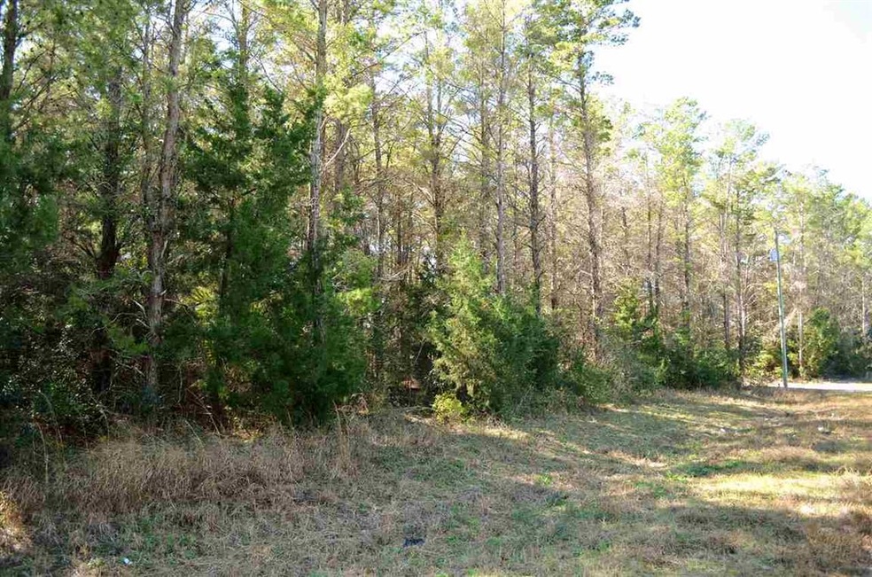 000 Sea Meadows Dr, Keaton Beach, FL 32348 - photo 1