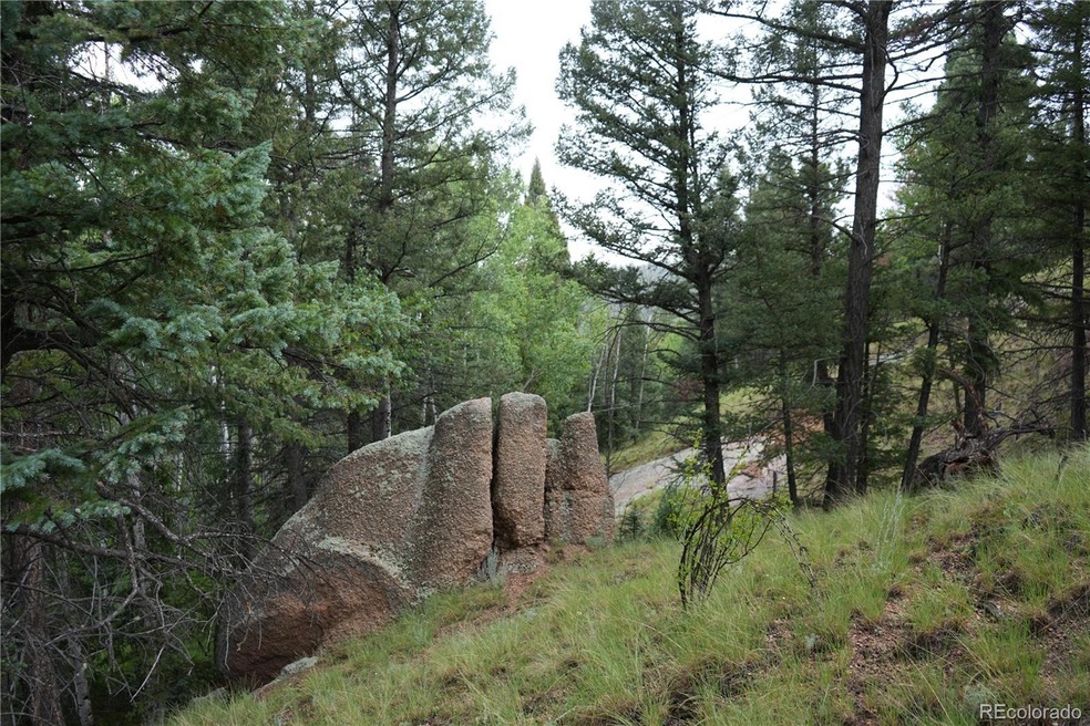 28 Feldspar Rd, Florissant, CO 80816 - photo 1