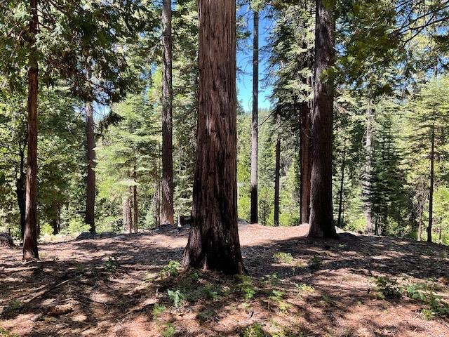 1619 Shoshone Dr, Dorrington, CA 95223 - photo 1