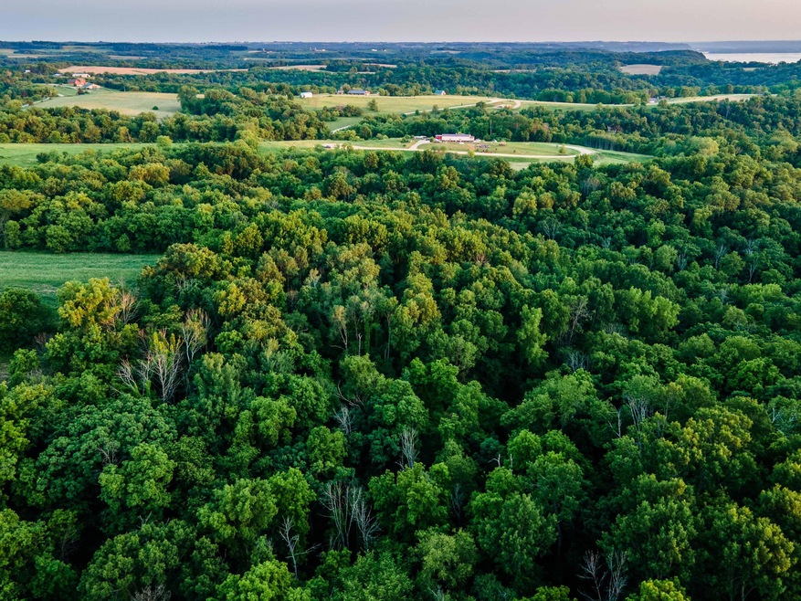 Crawford-Co-WI-13-Acres-Land-For-Sale-20