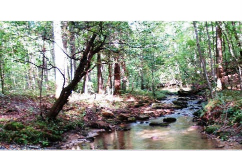 TR B Fielder Rd, Ellijay, GA 30540 - photo 1