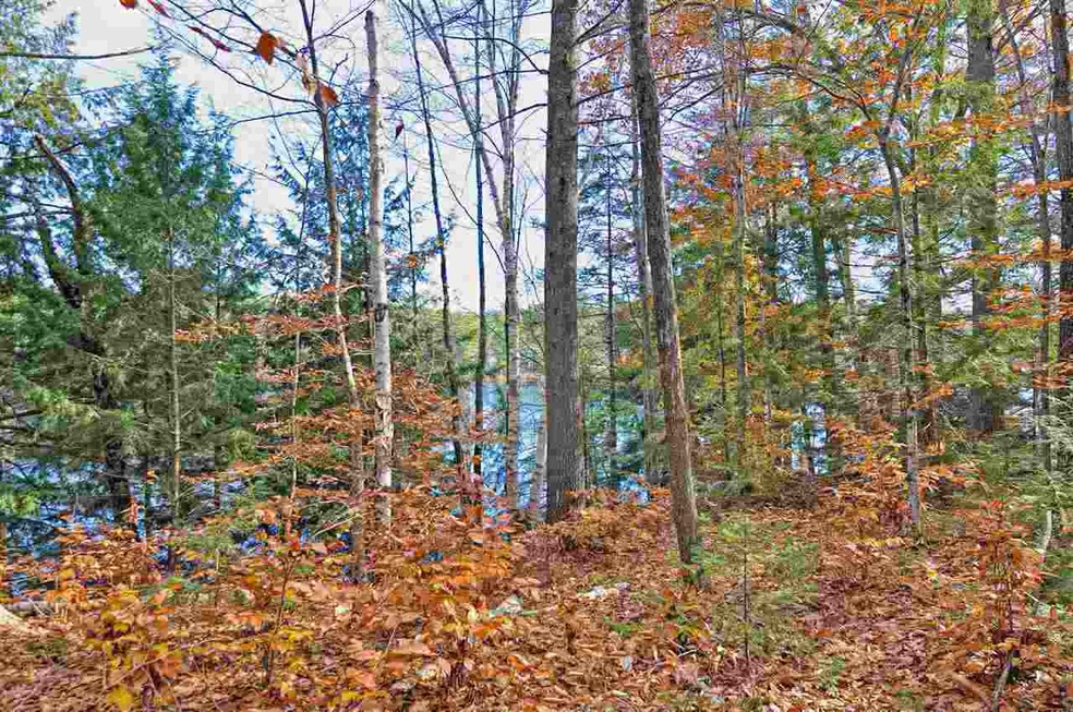 Lot#311 Beard, Grafton, NH 03240 - photo 1