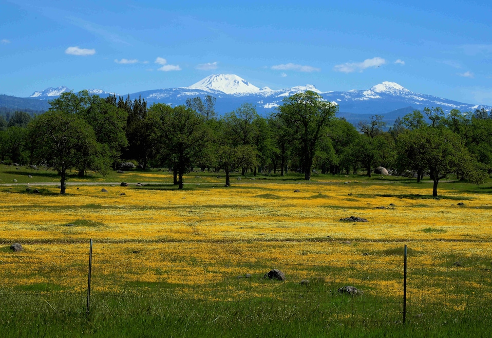 21675 Wildcat Rd, Paynes Creek, CA 96075 - photo 1