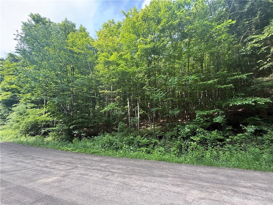 7420 Feather St, Naples, NY 14512 - photo 1