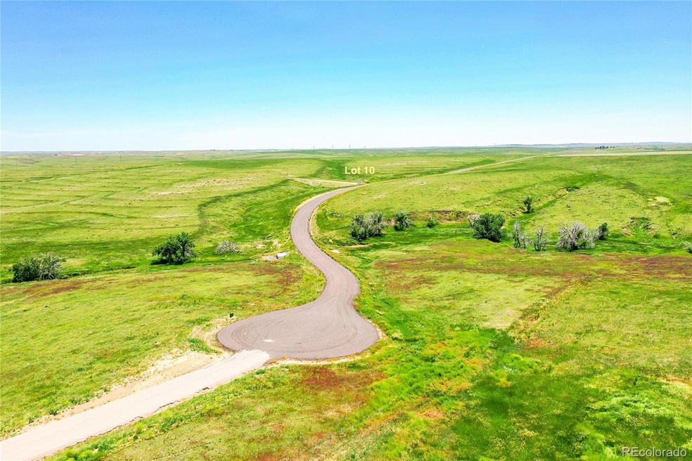 Overview of Lots at Last Dart Road