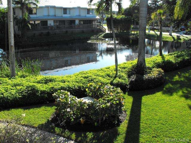 The pond