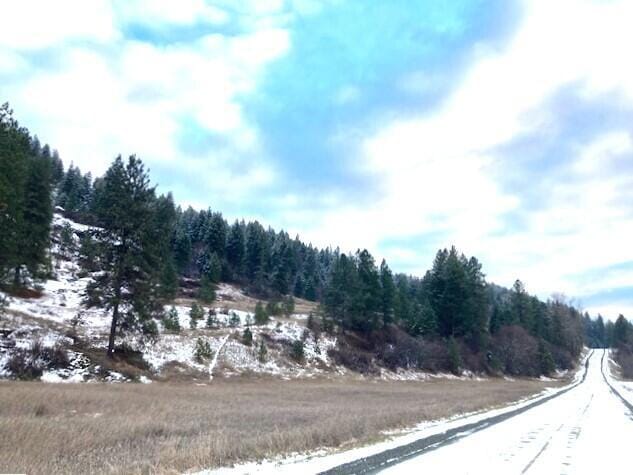 35XX Rockcut Rd, Kettle Falls, WA 99141 - photo 1