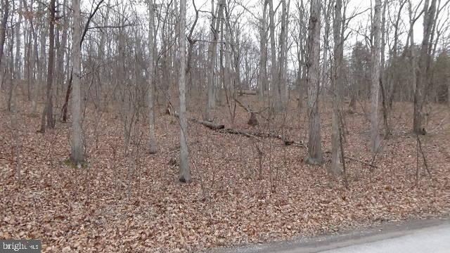 0 McCubbins Hollow unit WVBE176042, Gerrardstown, WV 25420 - photo 1