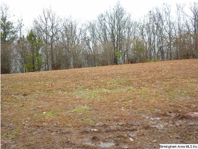 Appx. 8.95 Acres on the Bluff  view side of South 