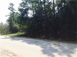 lot3a Saddlewood Dr, Conroe, TX 77384 - photo 1