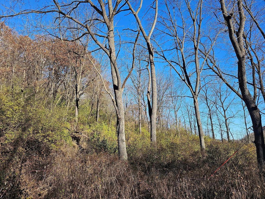 xxxx Braeburn Rd, Wilson Township, MN 55987 - photo 1