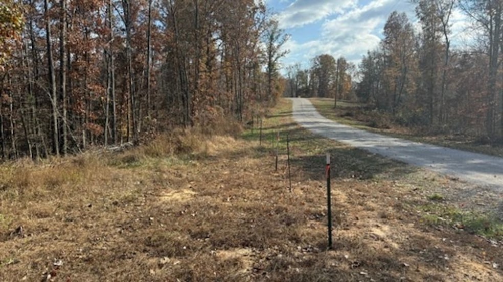 527 Chestnut Grove Cemetery Rd, Bonnieville, KY 42713 - photo 1