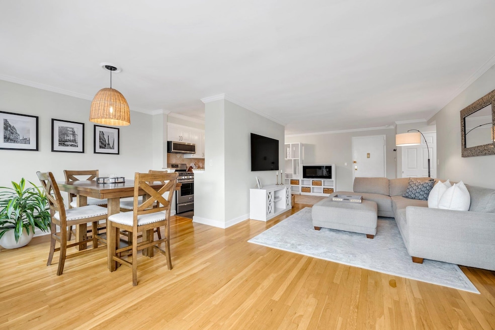 Birchwood Court unit 2C, Mineola, NY 11501 - photo 1