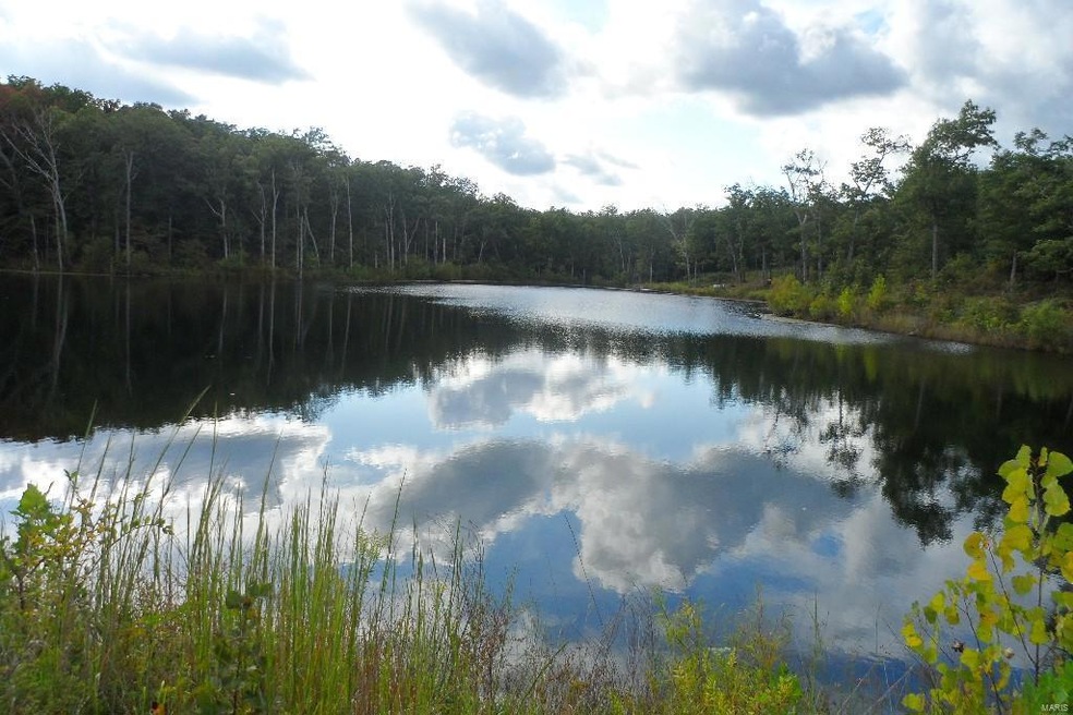 0 Hwy 221 unit 15053013, Farmington, MO 63640 - photo 1