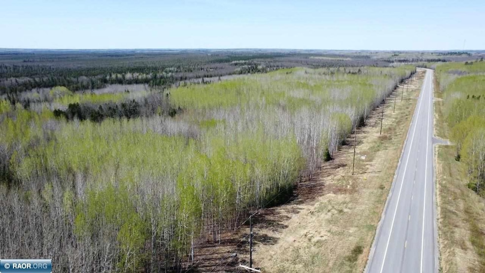 TBD Hwy 115, Tower, MN 55790 - photo 1