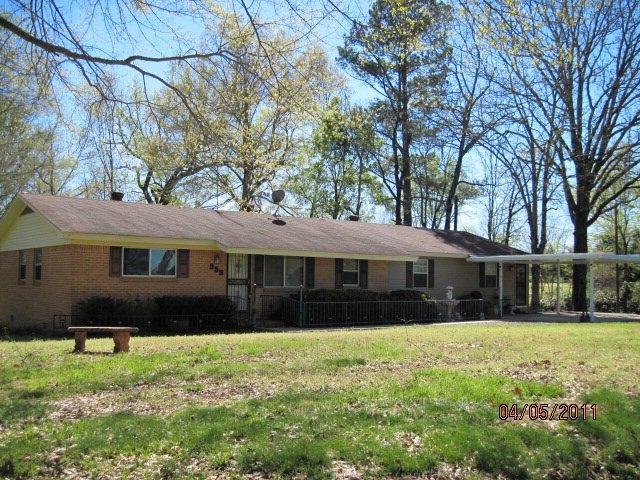 Main View