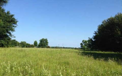 0 Bald Eagle Loop unit 96273, Lake City, FL 32025 - photo 1