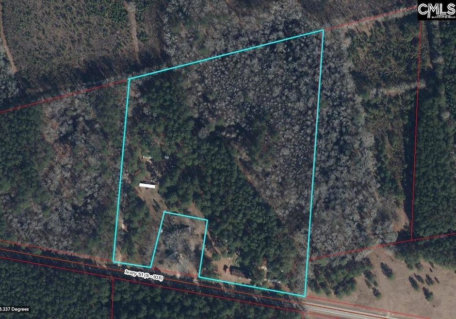 220 Ivory St, Cope, SC 29038 - photo 1