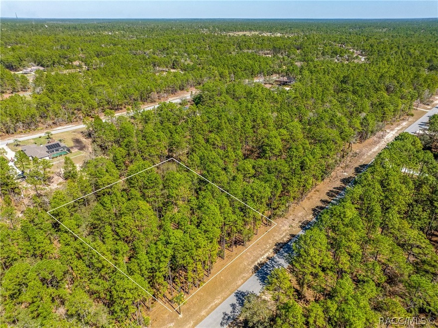 5783 W Cisco St, Beverly Hills, FL 34465 - photo 1