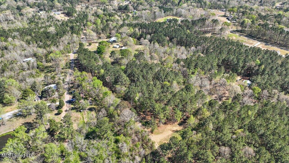 157 King Collier Rd, Brandon, MS 39042 - photo 1