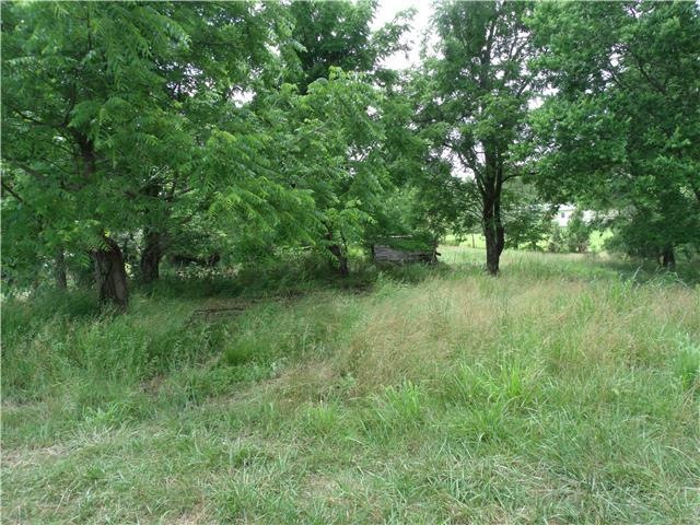 0 Nancy Greene Ridge Rd unit RTC1638790, Prospect, TN 38477 - photo 1