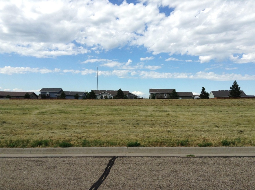 Lot 15