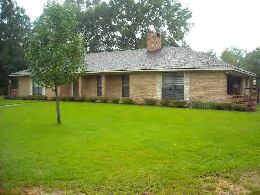Main View