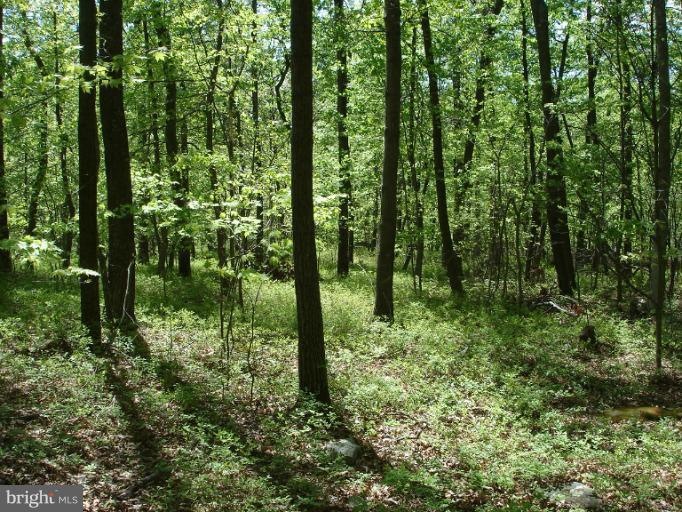 0 Three Turn Rd unit 1003987076, Shippensburg, PA 17257 - photo 1