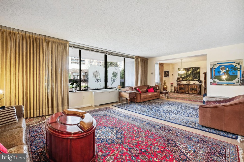 Skyline Plaza unit 115S, Baileys Crossroads, VA 22041 - photo 1