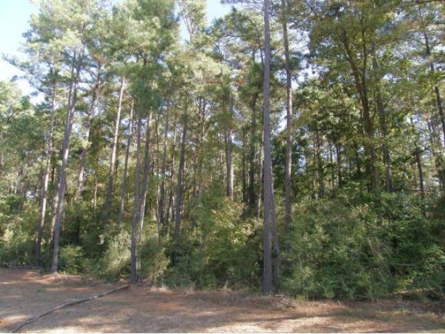 170 Cimarron Rd, Nacogdoches, TX 75964 - photo 1