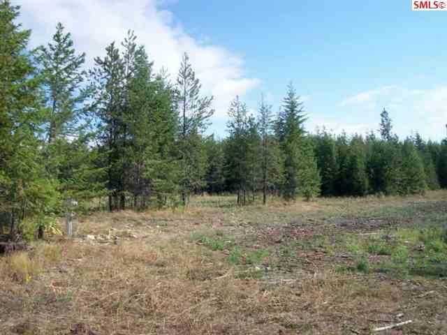 195 Dancing Lights, Careywood, ID 83809 - photo 1