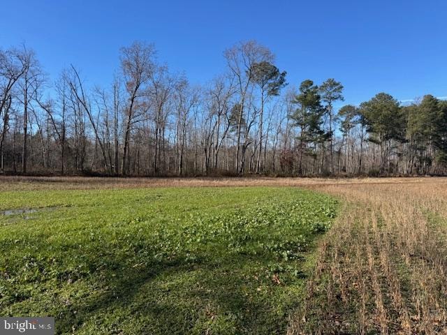 0 Sandtown Rd unit DEKT2043038, Felton, DE 19943 - photo 1